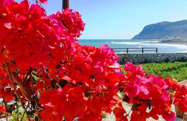 Studio with Seaview in a beautiful garden!
