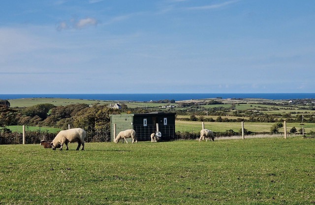 Stunning 1-bed Shepherd hut