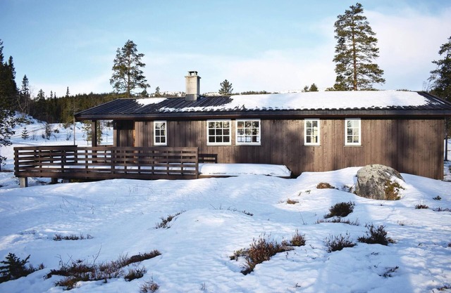 Stunning home in Eggedal with kitchen