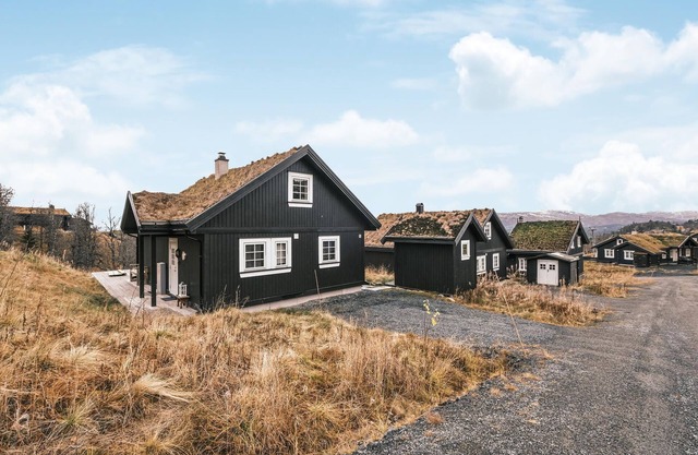Stunning home in Rauland with WiFi