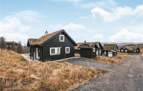 Stunning Home In Rauland With Wifi