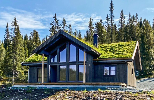Stunning home in Vinje with WiFi