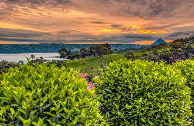 Stunning Lake, Volcano, and Mountain Views, chef's kitchen with 2 King Suites!