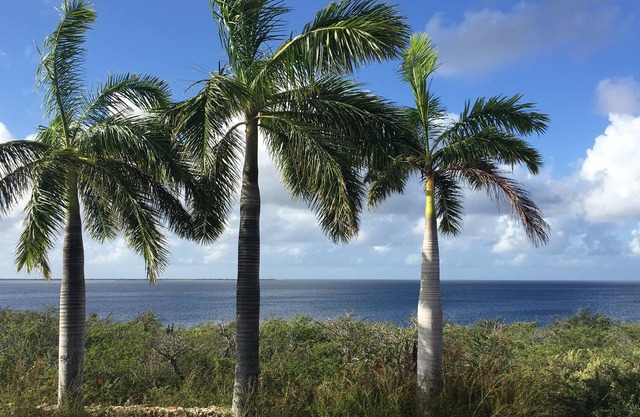 Stunning Oceanfront Villa, Direct Sea Access, Private Reef, Surrounded by Nature