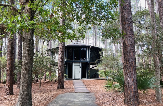 Stunning Sea Pines Treetop Oasis Deck & Grill with short walk to Harbourtown