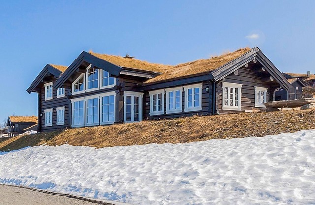 Stunninng home in Rauland with sauna