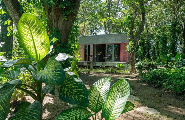 Stylish Jungle Cabin – Riverfront Retreat with Hammocks & Wi-Fi