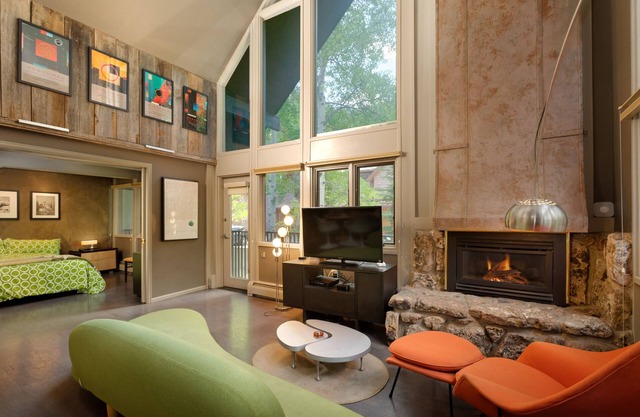 Stylish Modern Mountain Views in Downtown ASPEN CORE w/Free Wifi and Hot Tub Great Location!