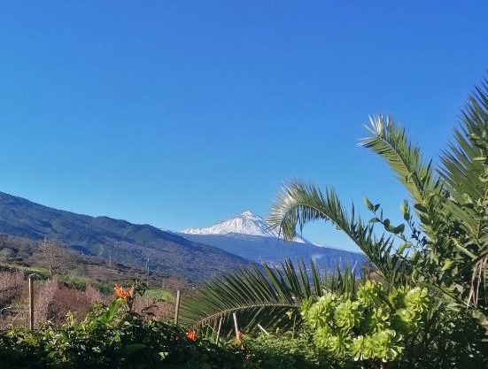 Suerteluna casa rural