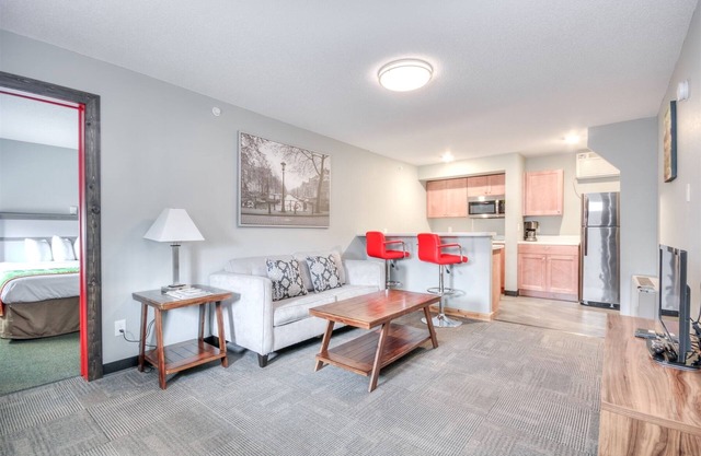 Suite 115 - 1BR King Apartment | 1 Bed, 1 Bath