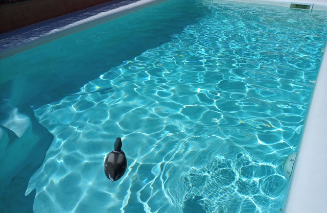 Suite b&b Costa Maresme 2hab Sala Estar, Piscina.no hay Servicio de Cocina