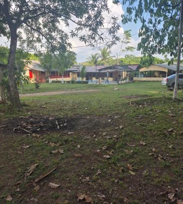 Suites para casais com area nativa