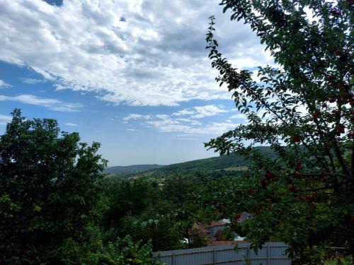 Sulut Guest House