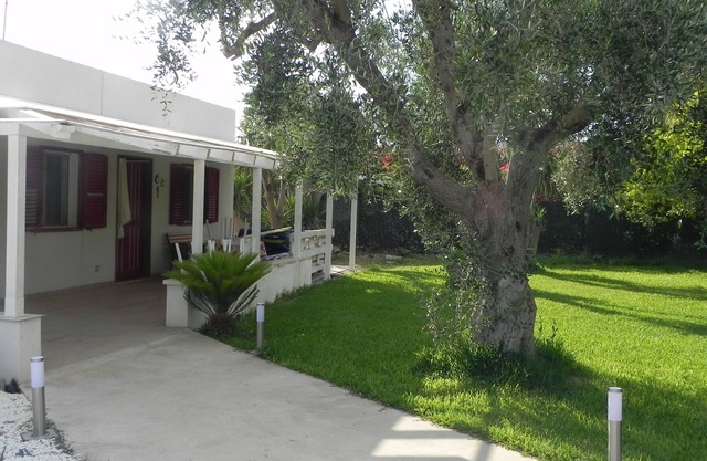 summer house the olive tree
