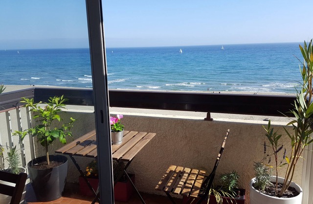 Sun and sea view in the bellevue in canet air conditioning + parking space