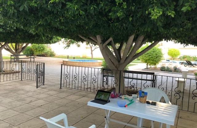 Sun Rise Beach Club - CZ2