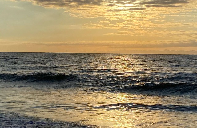 Sun-Sational , OCEAN FRONT, ALL LINENS included, POOL, Private Screen Porch