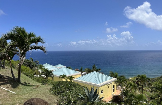 Sunflower - Amazing view of the Caribbean Sea, pool & lush tropical landscaping