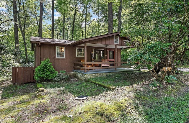 Sunflower Shack: 1 BR, 1 BA Cabin/Bungalow in Maggie Valley, Sleeps 2