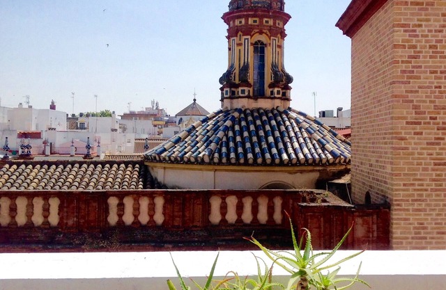 Sunny Attic With Private Terrace 'El Colmo' in Historic Center VFT/SE/00245