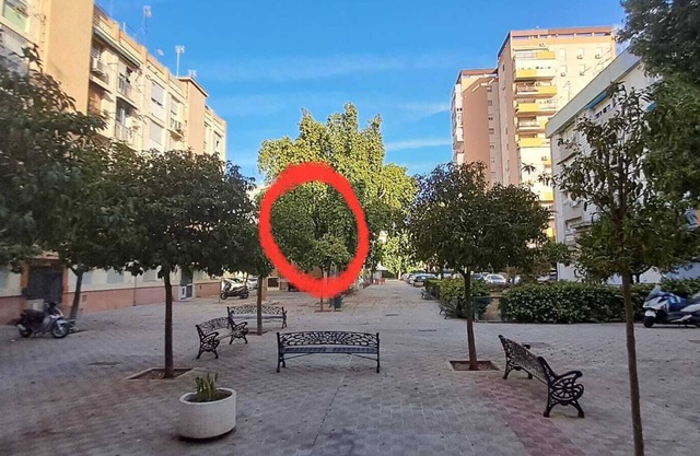 Sunny & stylish handmade home. WI-FI, a/c and free parking on the street.