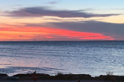 Sunset Revival