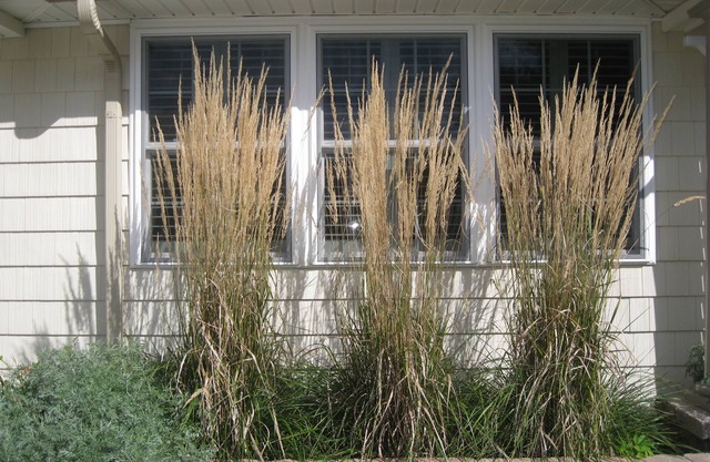 Sunset View Beach Bungalow - Pets Allowed. Amazing covered deck and yard.