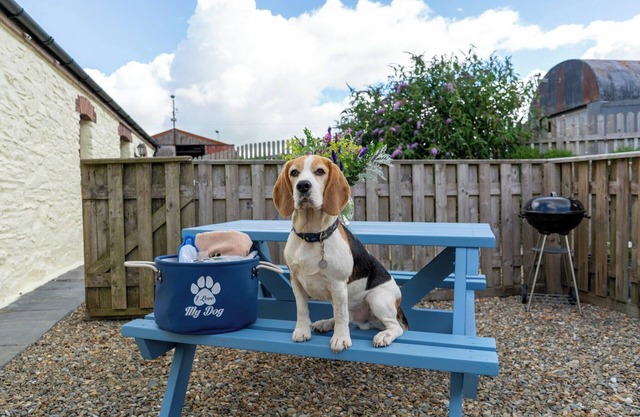 Super dog friendly barn conversion - sleeps 6 plus unlimited dogs