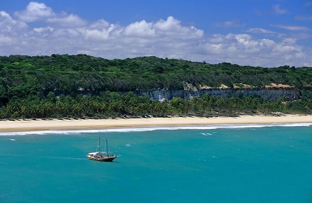 SUPER PROMOTION - WONDERFUL FLAT