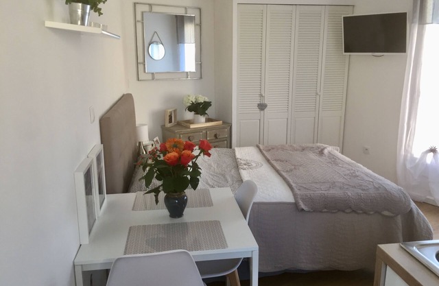 SUPERB NEW STUDIO ALL EQUIPPED WITH POOL