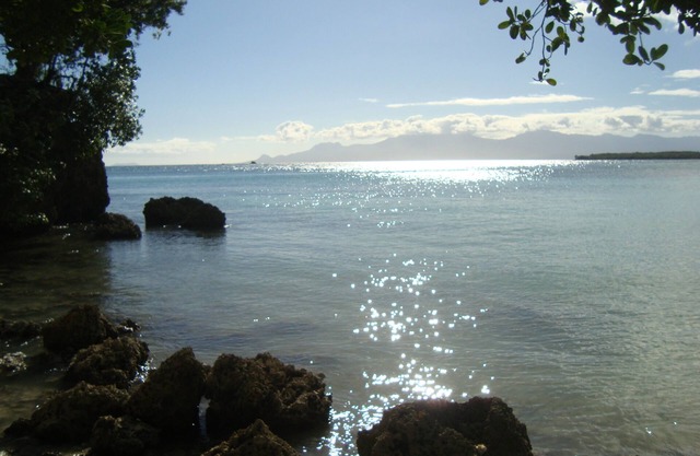 Superb T2 on the beach + swimming pool, Gosier Petit-Havre - free Wi-Fi connection