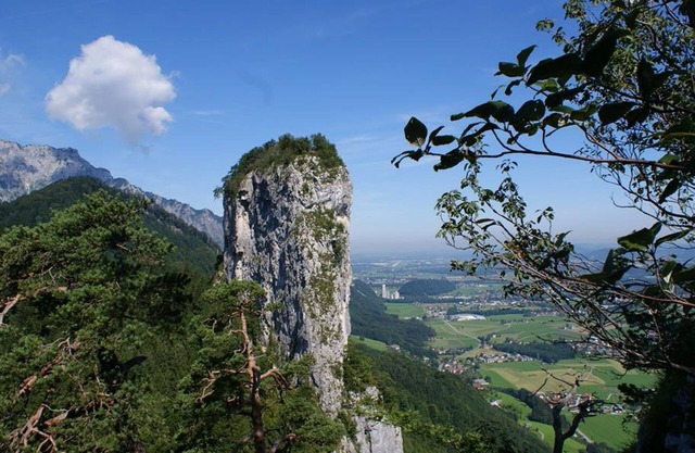 Superior double room, shower, WC, non-smoking - Hotel Apartment Camping Das Au-Gut