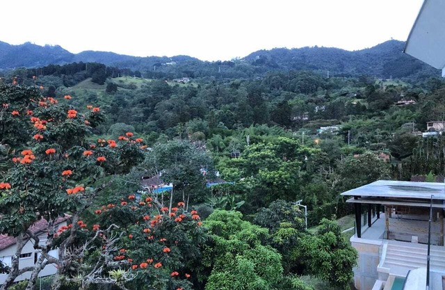 SUPERLUXE Villa Grande/Pool & Jacuzzi by NOMAD GURU