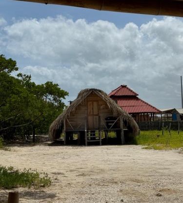Sutsha Wayuu
