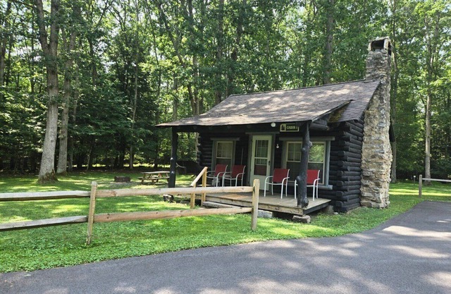 Swallow Falls Cabin 1