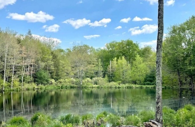 Sweet Suite Tiny House w/Zen Vibes on Quiet Lake