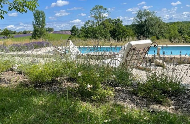 Swimming pool in the middle of lavender at Clau de Ratelle