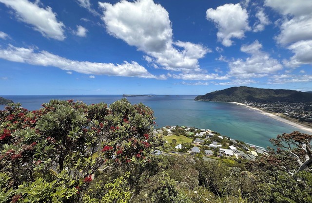 Tairua Treasure