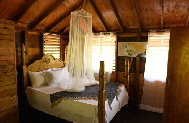 Take it easy at our eco friendly beach cabins where life meets nature funfilled