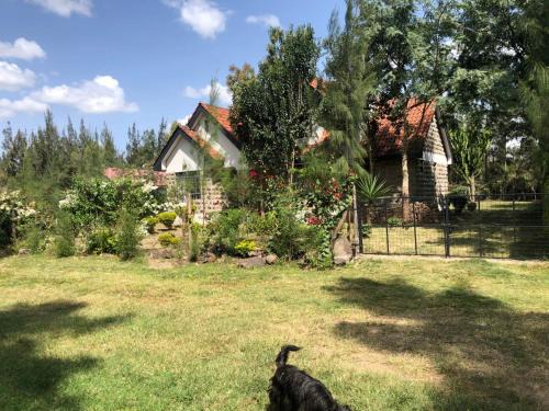 Tali's Cottage