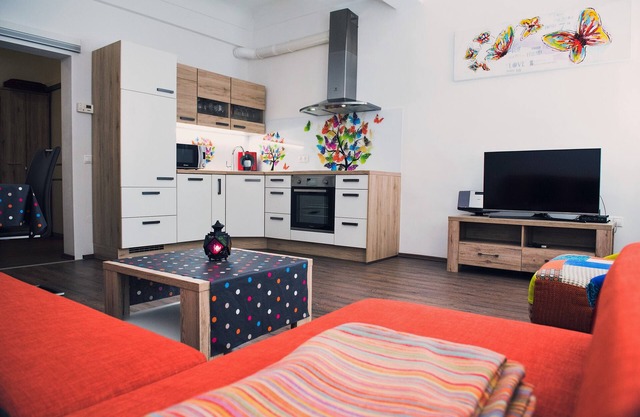 TARA strict center apartment (air conditioning)
