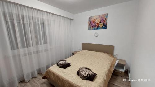 Targu Jiu Central Apartment