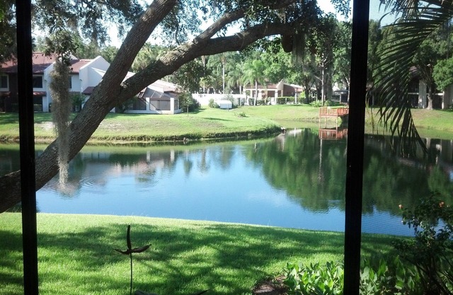 Tarpon Woods Condo with Lake View
