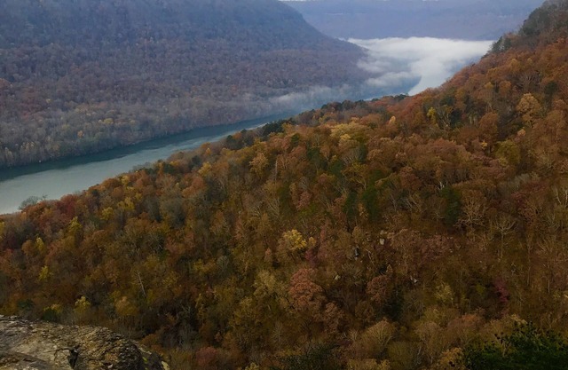 Tennessee's Grand Canyon! 10 Min From Downtown Chattanooga!