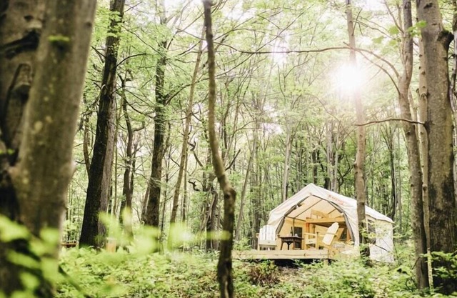 Tentrr Signature Site - Whippoorwill Woods
