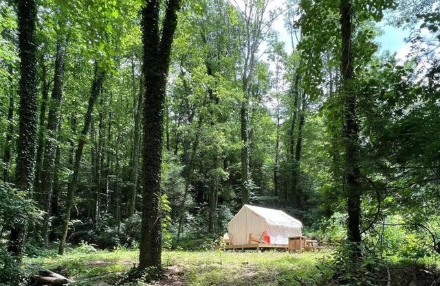 Tentrr Signature Site - Summer Haven Campsite #2