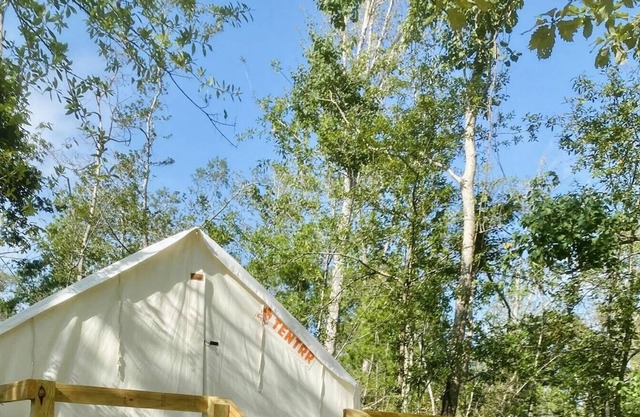 Tentrr State Park Site - Louisiana Tickfaw State Park - Woodland F - Single Camp