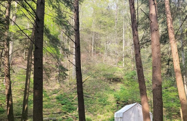 Tentrr State Park Site - Big Run State Park - Site A