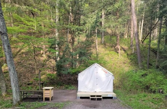 Tentrr State Park Site - Big Run State Park - Site C