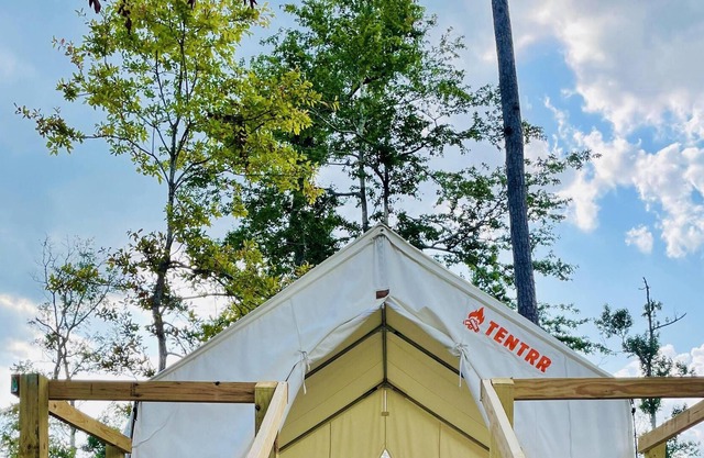 Tentrr State Park Site - Louisiana Sam Houston Jones State Park - Lagoon View B